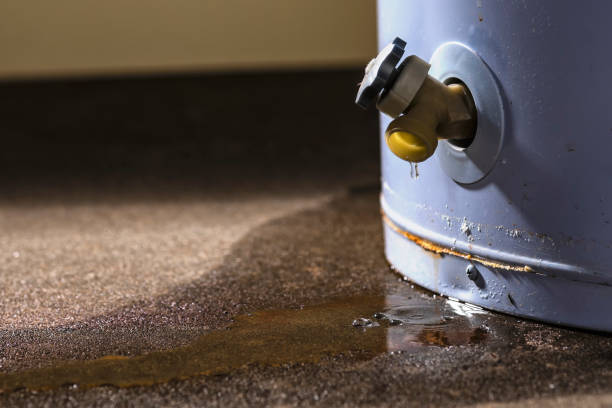 Best Basement water damage restoration  in Long Creek, IL