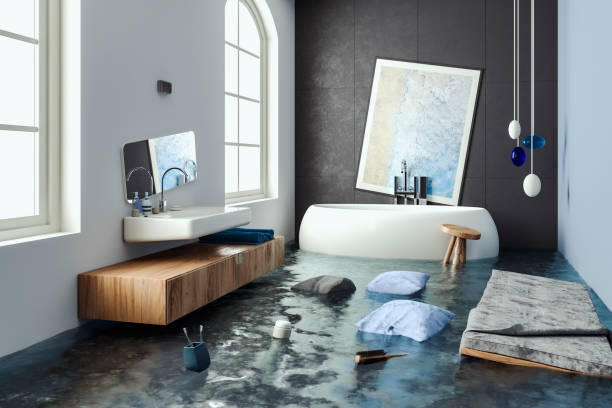 Best Water damage restoration services  in Long Creek, IL