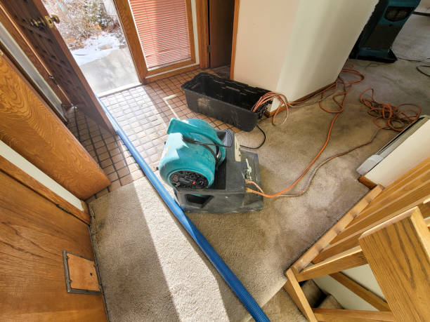 Best Fire Damage Restoration  in Long Creek, IL