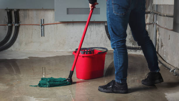 Best Water damage cleanup near me  in Long Creek, IL