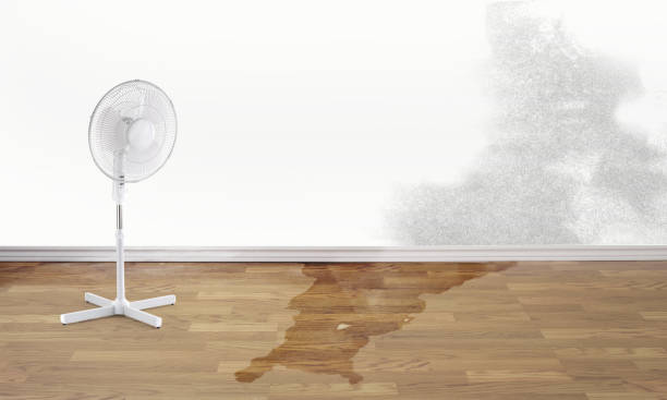 Best Local water damage restoration  in Long Creek, IL