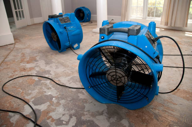 Best Professional water damage repair  in Long Creek, IL