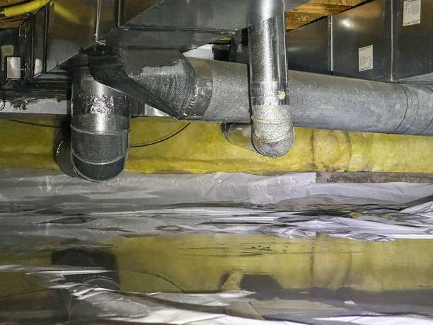 Best Ceiling water damage repair  in Long Creek, IL
