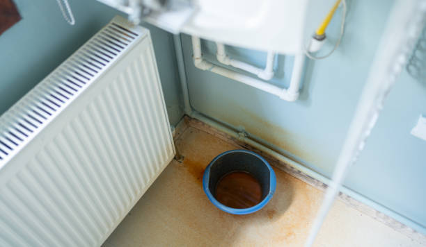 Best Sewage cleanup and water damage restoration  in Long Creek, IL