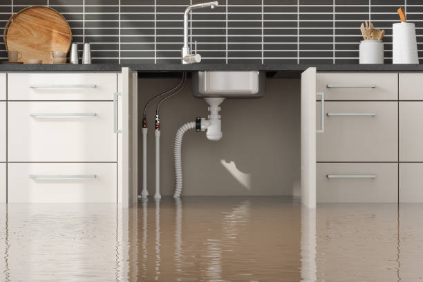 Best Emergency water damage restoration  in Long Creek, IL