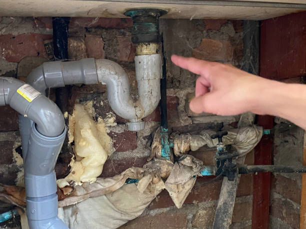 Best Flood damage cleanup  in Long Creek, IL