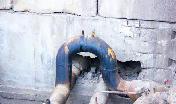 Best Water damage contractors near me  in Long Creek, IL